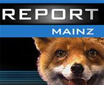 Report
