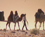 Mongolei - Die Karawane