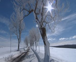 Winterreise - von Usedom ins Gletschereis